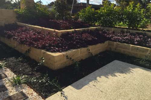 Retaining Walls and Steps